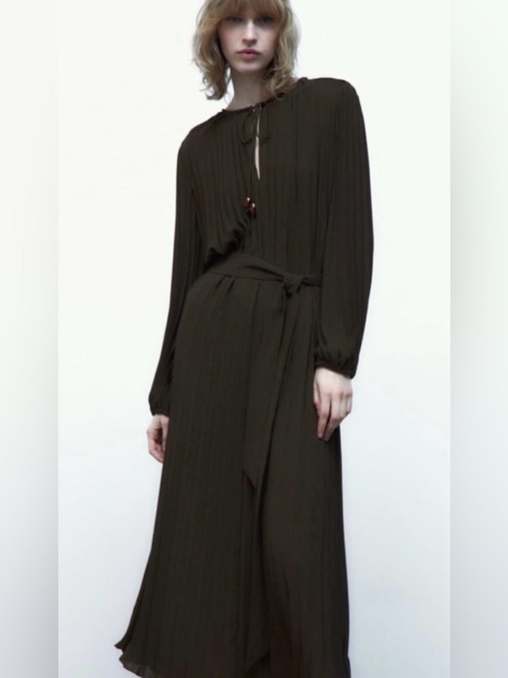 Zara Pleated Maxi Dress